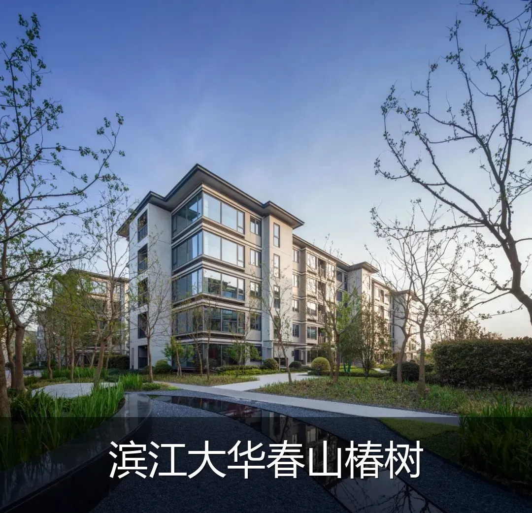 滨江大华春山椿树